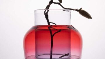 Vase Resonate